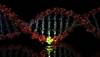 Exploring the Role of GCH1 in Parkinson's Disease Exploring the Role of GCH1 in Parkinson's Disease