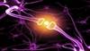 Fibromyalgia: A Peripheral Pain Disorder? Fibromyalgia: A Peripheral Pain Disorder?