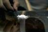 Autism and Risk of Substance Use Disorders Autism and Risk of Substance Use Disorders