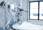 EEG Patterns in Critically Ill Point to Greater Risk of Seizures EEG Patterns in Critically Ill Point to Greater Risk of Seizures