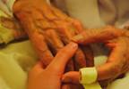 Hospice Care Quality Varies Among Minorities Hospice Care Quality Varies Among Minorities