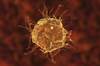 Amyotrophic Lateral Sclerosis Progression Associated With Changes in Immune Status Amyotrophic Lateral Sclerosis Progression Associated With Changes in Immune Status