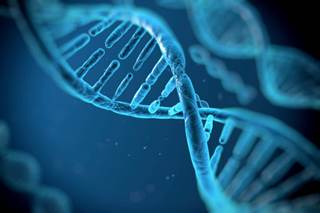 Excessive Activity in Genetic Variant May Underly Schizophrenia Excessive Activity in Genetic Variant May Underly Schizophrenia