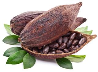 High Flavanol Diet May Improve Age-Related Memory Loss High Flavanol Diet May Improve Age-Related Memory Loss