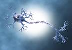 Combination Anticonvulsant-Antidepressant Tx Superior to Monotherapy in FM Combination Anticonvulsant-Antidepressant Tx Superior to Monotherapy in FM