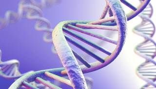 DNA DNA