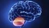 Cerebellar Stimulation May Help Improve Gait and Balance Recovery in Stroke Cerebellar Stimulation May Help Improve Gait and Balance Recovery in Stroke