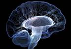 Bipolar Disorder Associated with Altered Brain Development Bipolar Disorder Associated with Altered Brain Development