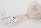 Novel Spinal Implant Restores Movement in Paralyzed Rats Novel Spinal Implant Restores Movement in Paralyzed Rats
