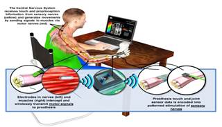 DARPA Program Sets Out to Restore Sensation in Prosthetics DARPA Program Sets Out to Restore Sensation in Prosthetics