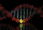 Gene Mutations Associated with Sudden Cardiac Death Linked to SUDEP Gene Mutations Associated with Sudden Cardiac Death Linked to SUDEP