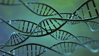 In Rett syndrome, long genes are over expressed. In Rett syndrome, long genes are over expressed.
