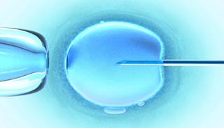 Assisted Reproductive Technology May Raise Risk of Autism Assisted Reproductive Technology May Raise Risk of Autism
