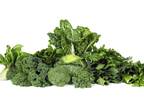 Leafy Greens May Help Preserve Cognition in Older Age Leafy Greens May Help Preserve Cognition in Older Age