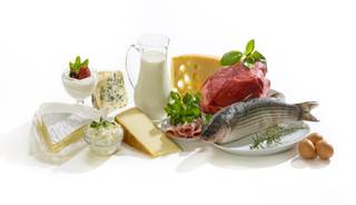 The foods most negatively correlated with ALSFRS-R score were milk, lunchmeats, and beef and pork. The foods most negatively correlated with ALSFRS-R score were milk, lunchmeats, and beef and pork.