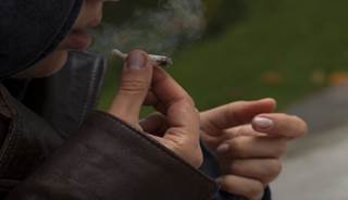Prenatal Marijuana Use May Affect Fetal Brain Development Prenatal Marijuana Use May Affect Fetal Brain Development