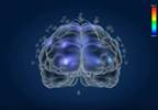 Early Biomarkers Identified in Schizophrenia Preclinical Model Early Biomarkers Identified in Schizophrenia Preclinical Model