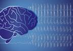 Autism and Epilepsy Comorbidity: Shared Etiology? Autism and Epilepsy Comorbidity: Shared Etiology?