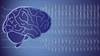 Women With Epilepsy More Likely to Have Major Depressive Disorder Women With Epilepsy More Likely to Have Major Depressive Disorder