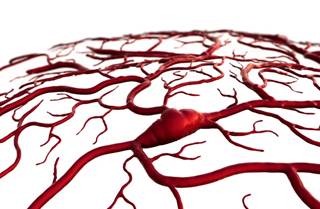 Risk of stroke is elevated for approximately 8 weeks after PCI. Risk of stroke is elevated for approximately 8 weeks after PCI.