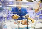 Improving Cognitive Outcomes in Preemies an Uphill Battle Improving Cognitive Outcomes in Preemies an Uphill Battle