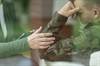 Examining Headaches Among Veterans of Iraq, Afghanistan Wars Examining Headaches Among Veterans of Iraq, Afghanistan Wars