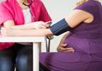 Hypertensive Pregnancy Disorder May Be Detrimental to Cognitive Function, Brain Volume Hypertensive Pregnancy Disorder May Be Detrimental to Cognitive Function, Brain Volume