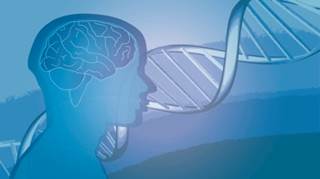 The researchers observed a correlation between rs4343 A/G polymorphism and migraine. The researchers observed a correlation between rs4343 A/G polymorphism and migraine.