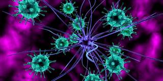 Re-Examining Infectious Causes of Alzheimer's Disease Re-Examining Infectious Causes of Alzheimer's Disease