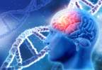 Alzheimer's Related Gene May Induce Psychosis in Females Alzheimer's Related Gene May Induce Psychosis in Females
