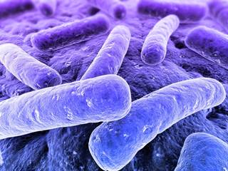 Gut Bacteria Profile Differs in Patients with Multiple Sclerosis Gut Bacteria Profile Differs in Patients with Multiple Sclerosis