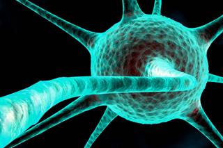 Axon diameter dynamics may serve as a novel biomarker for MS disease course. Axon diameter dynamics may serve as a novel biomarker for MS disease course.