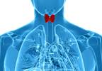 Hypothyroidism, Obesity Linked to Sleep Disordered Breathing Hypothyroidism, Obesity Linked to Sleep Disordered Breathing