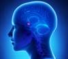 Bipolar Disorder: Childhood Trauma Modulates Impact on Amygdala, Hippocampus Bipolar Disorder: Childhood Trauma Modulates Impact on Amygdala, Hippocampus