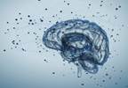Evolocumab Does Not Affect Cognition When Combined With Statin Therapy Evolocumab Does Not Affect Cognition When Combined With Statin Therapy