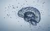 Serum Cytokine Levels May Correlate With Cognitive Dysfunction in Alzheimer's Disease Serum Cytokine Levels May Correlate With Cognitive Dysfunction in Alzheimer's Disease