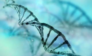Shared genetic factors may be partly responsible for the bidirectional relatedness of MDD and AD. Shared genetic factors may be partly responsible for the bidirectional relatedness of MDD and AD.