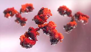 There was little difference between the effects of IVIg and placebo on either primary measure. There was little difference between the effects of IVIg and placebo on either primary measure.