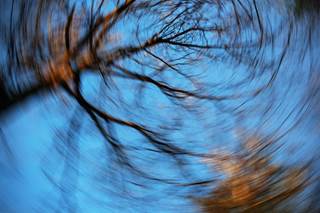 The program teaches vestibular rehabilitation exercises. The program teaches vestibular rehabilitation exercises.