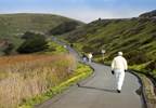 Intensive Lifestyle Intervention Holds No Benefit for Cognitive Impairment: Analysis Intensive Lifestyle Intervention Holds No Benefit for Cognitive Impairment: Analysis