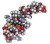 Evaluating Orexin Antagonist for Diabetic Neuropathy Tx Evaluating Orexin Antagonist for Diabetic Neuropathy Tx
