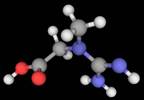 Daily Creatine Fails to Show Benefits in Early Huntington Disease Daily Creatine Fails to Show Benefits in Early Huntington Disease