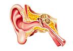 Identifying Early Triggers, Symptoms of Vestibular Migraine Identifying Early Triggers, Symptoms of Vestibular Migraine