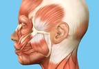 Targeted, Reduced Number of OnabotulinumtoxinA Injections Effective for Chronic Migraine Targeted, Reduced Number of OnabotulinumtoxinA Injections Effective for Chronic Migraine