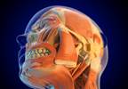 Austedo Wins Second Indication for Tardive Dyskinesia Austedo Wins Second Indication for Tardive Dyskinesia