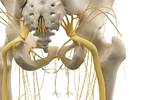 Surgical Nerve Decompression May Improve Restless Leg Syndrome Surgical Nerve Decompression May Improve Restless Leg Syndrome