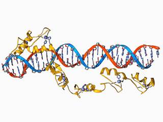 Parkinson's risk was doubled among people who'd ever used propranolol. Parkinson's risk was doubled among people who'd ever used propranolol.