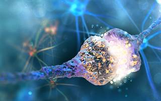 It is not clear how PCSK9 inhibitors impact cognition. It is not clear how PCSK9 inhibitors impact cognition.