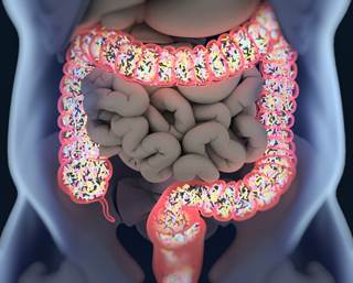 Research suggests a complex interplay between the brain and the gastrointestinal tract. Research suggests a complex interplay between the brain and the gastrointestinal tract.