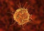 Amyotrophic Lateral Sclerosis Progression Associated With Changes in Immune Status Amyotrophic Lateral Sclerosis Progression Associated With Changes in Immune Status